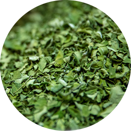 Óleo Vegetal Moringa